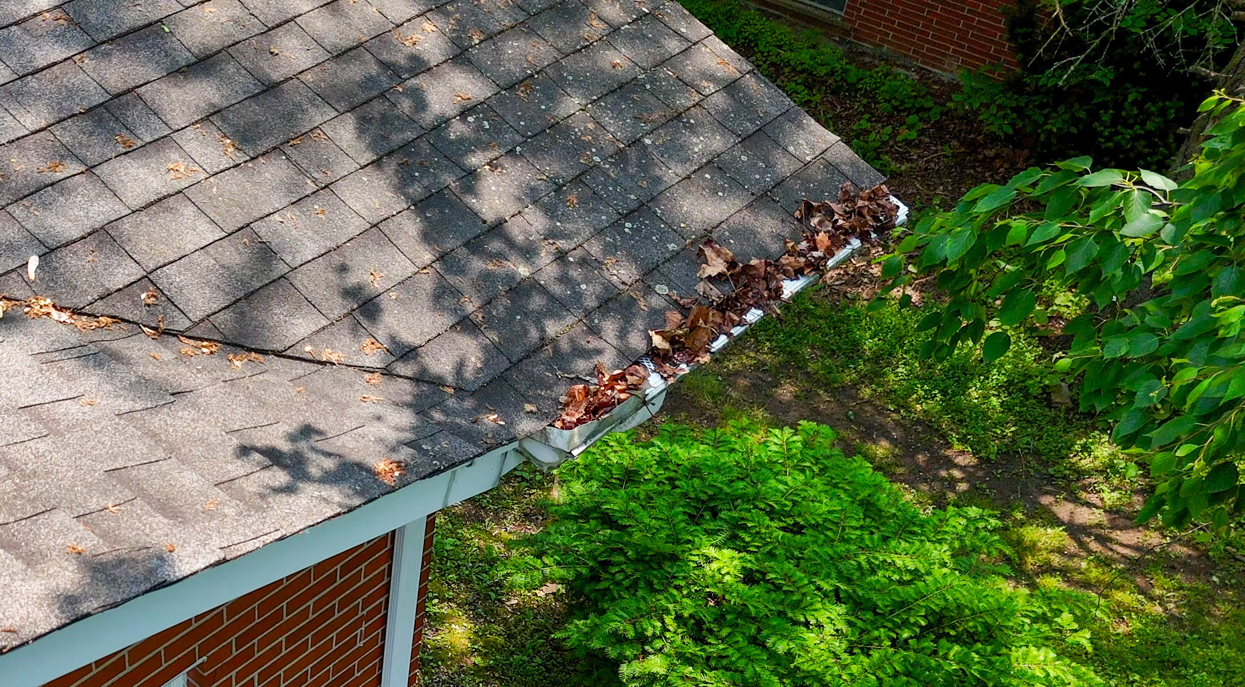 Gutter guards with leaves
